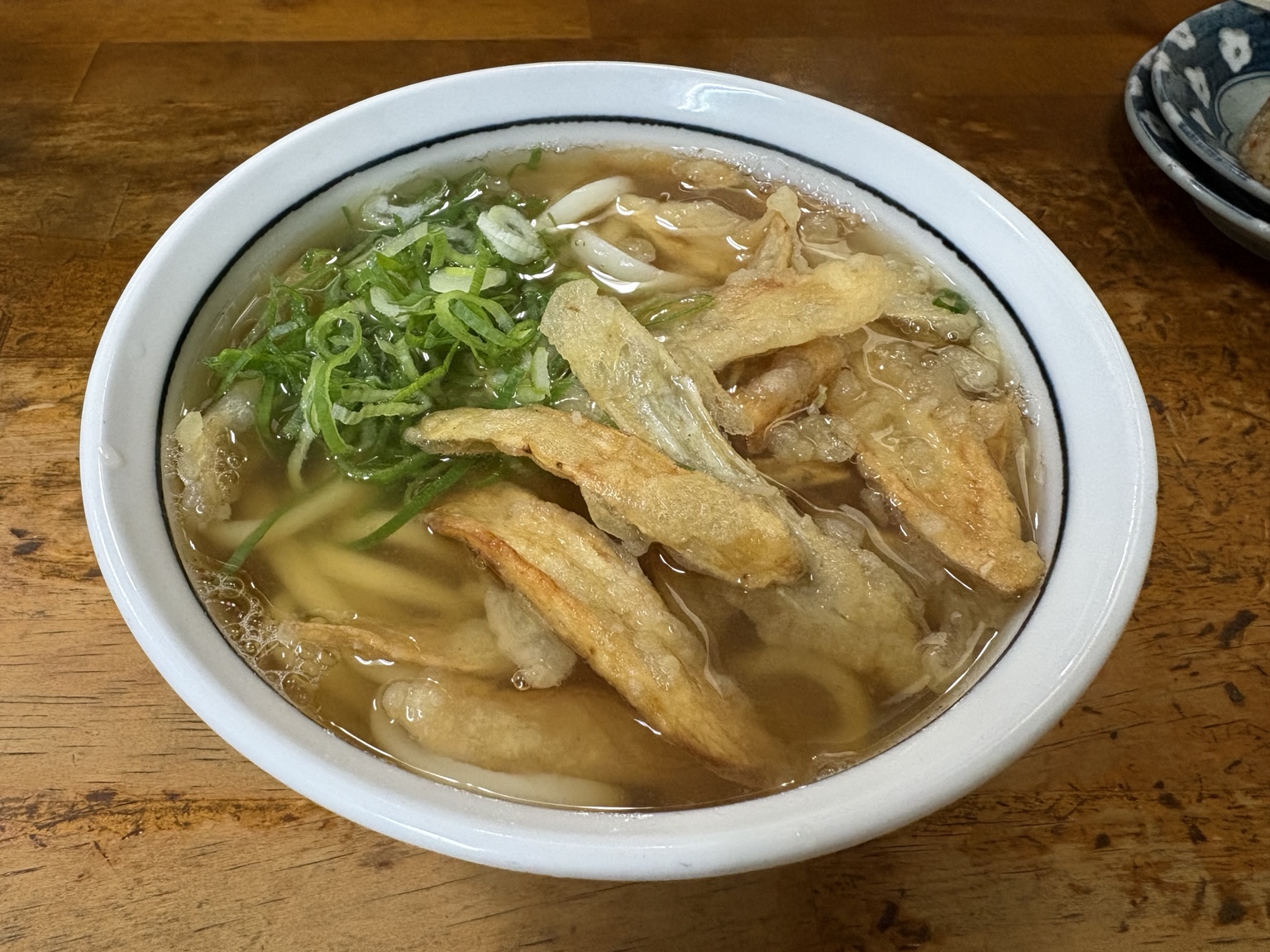 薄切りのごぼう天とねぎがのったごぼう天うどん